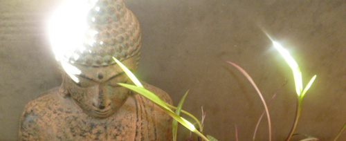 Accademia Yoga Samavaya - Corsi di Yoga e Meditazione